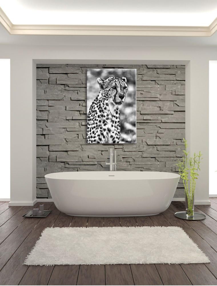 Pixxprint Monocrome, ausgewachsener Gepard, Format: 100x70 auf Leinwand, 100x70