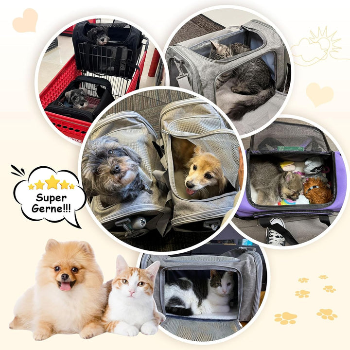 Transporttasche für Katze Hund, Hundetransportbox, Faltbare Katzentransportbox, tragbar, 5kg Katzen