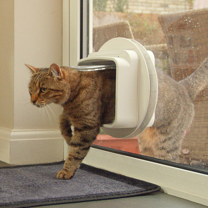 SureFlap DualScan Katzenklappe, weiss 1 Stück (1er Pack)