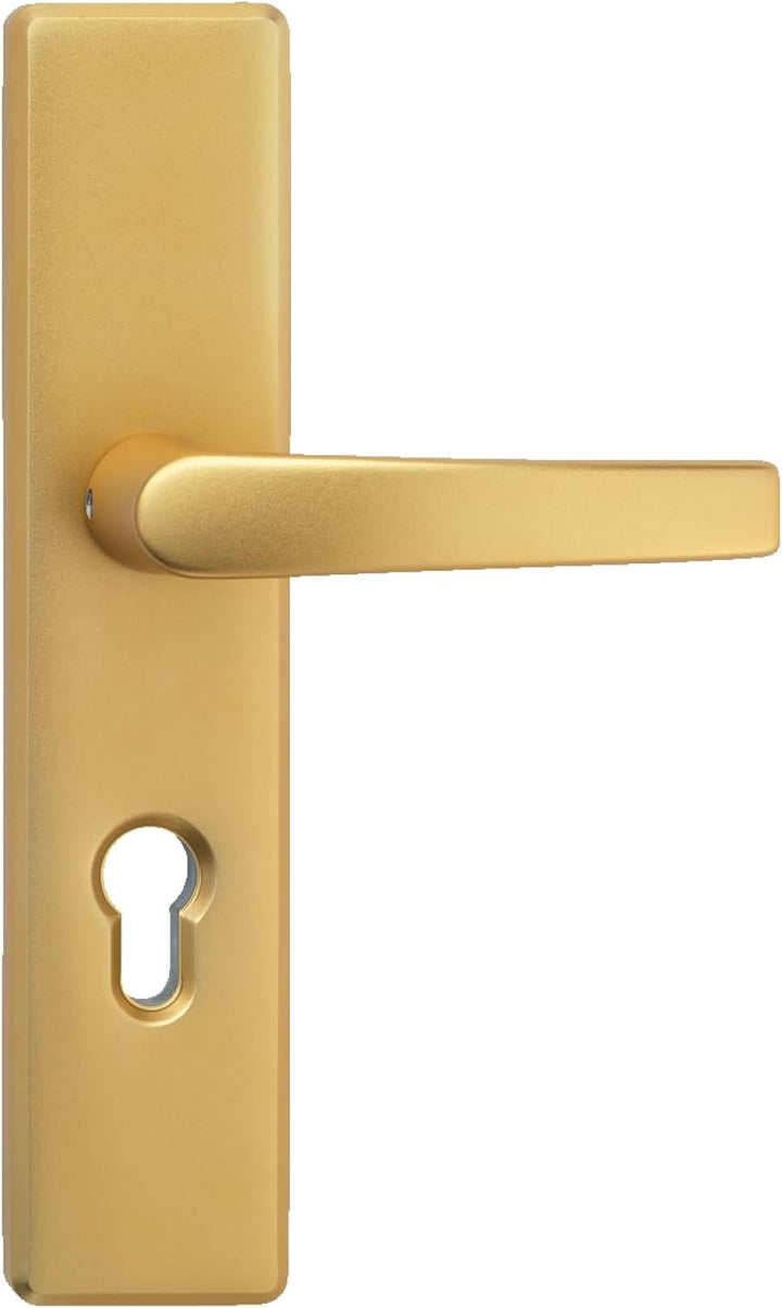 ABUS Tür-Schutzbeschlag KLS114 F3 messing mit beidseitigem Drücker 08297 F3 Messing Beidseitiger Drü