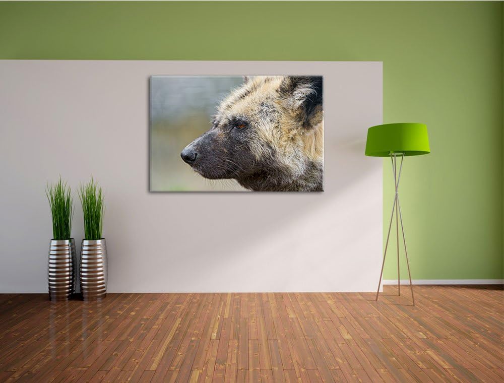 Pixxprint Hyäne im Seitenprofil auf Leinwand, XXL riesige Bilder fertig gerahmt mit Keilrahmen, Kuns