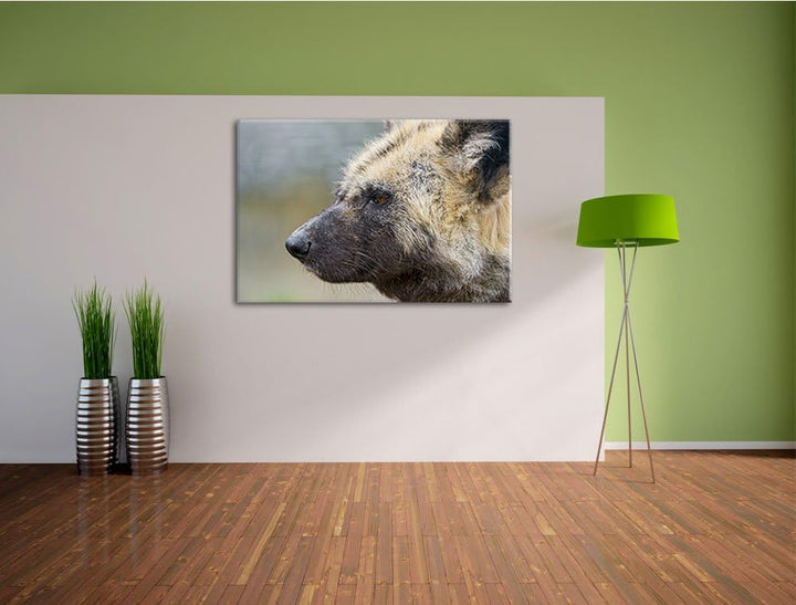 Pixxprint Hyäne im Seitenprofil auf Leinwand, XXL riesige Bilder fertig gerahmt mit Keilrahmen, Kuns