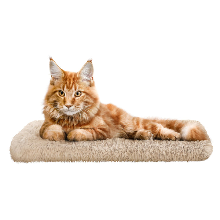 Katzen Fensterliege Fensterbank rutschfest - Katzenbett Fensterbank 60x25 cm - Weich & Kuschelig - F