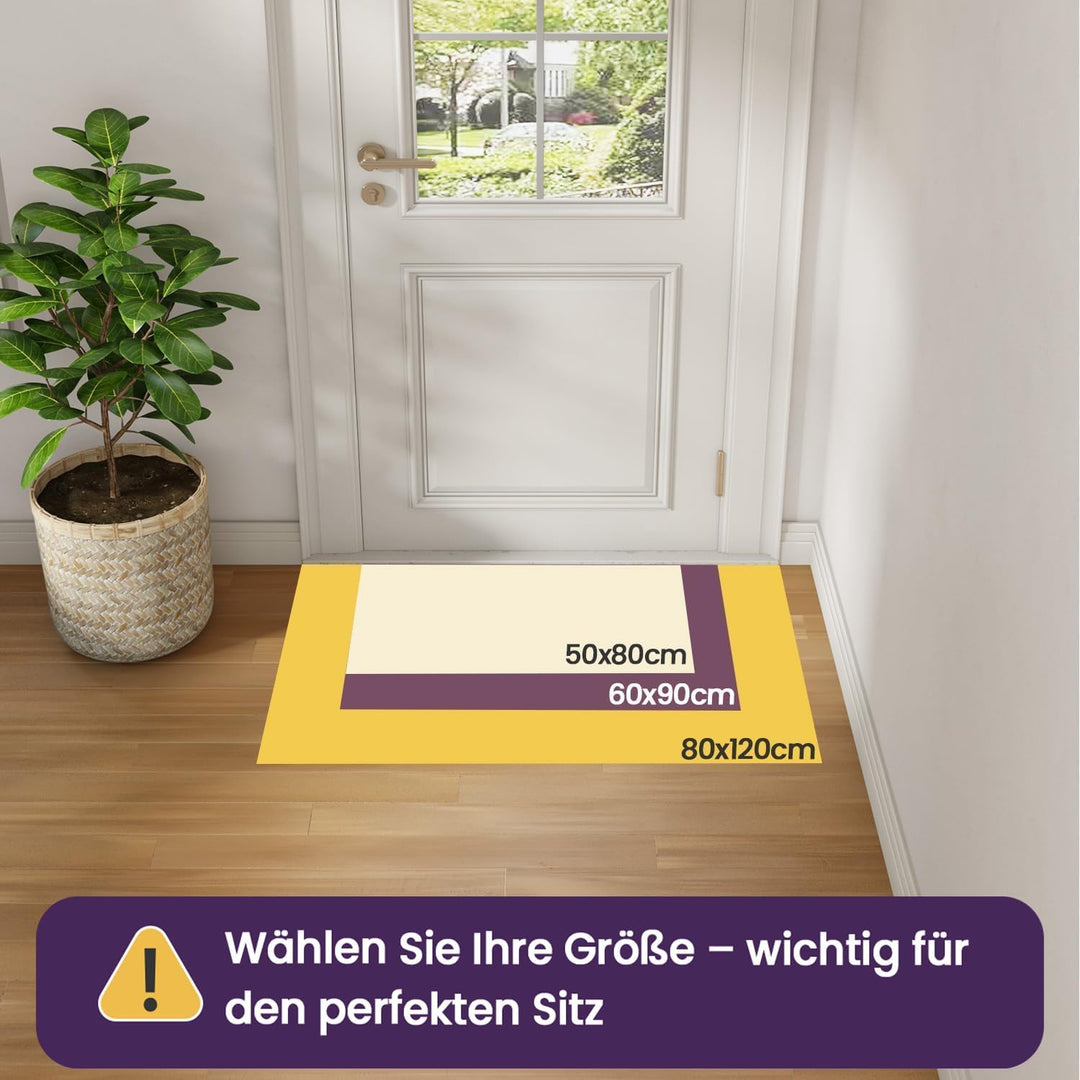 DEXI Schmutzfangmatte,rutschfeste Fussmatte für Innen und Aussen,Waschbar Eingangsteppich Saugstarke