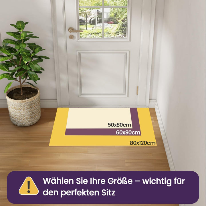 DEXI Schmutzfangmatte,rutschfeste Fussmatte für Innen und Aussen,Waschbar Eingangsteppich Saugstarke