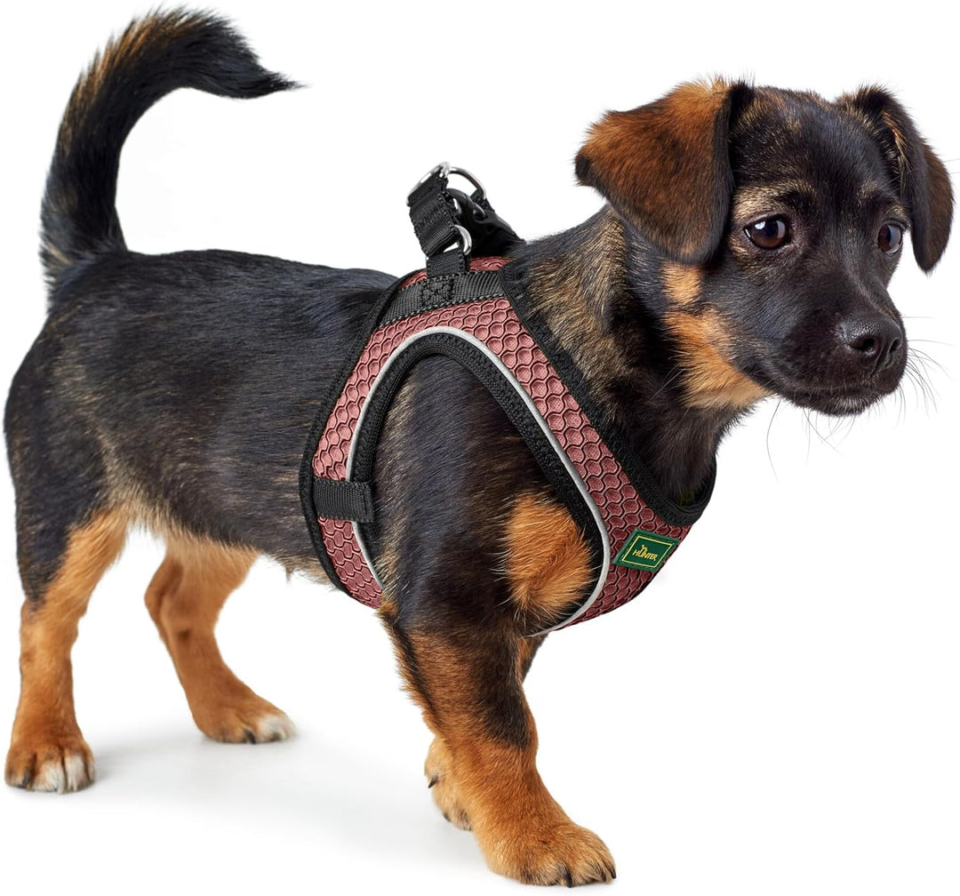 Hunter Hundegeschirr Hilo Comfort, Farbe: Altrosa, Easy Step-In Geschirr für kleine bis mittlere Hun