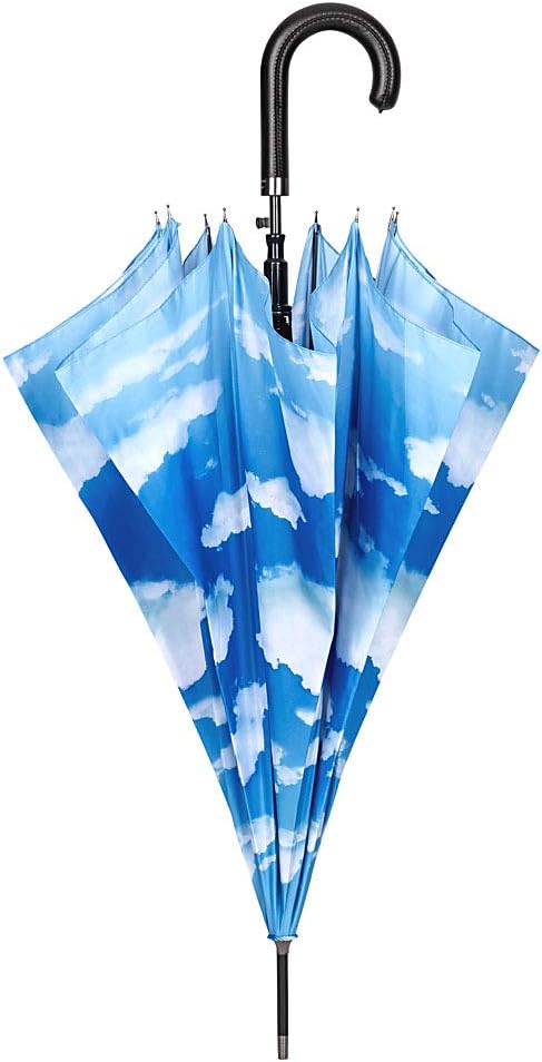 VON LILIENFELD Regenschirm Wolken Bayrischer Himmel Auf-Automatik Damen Herren Stockschirm Stabil