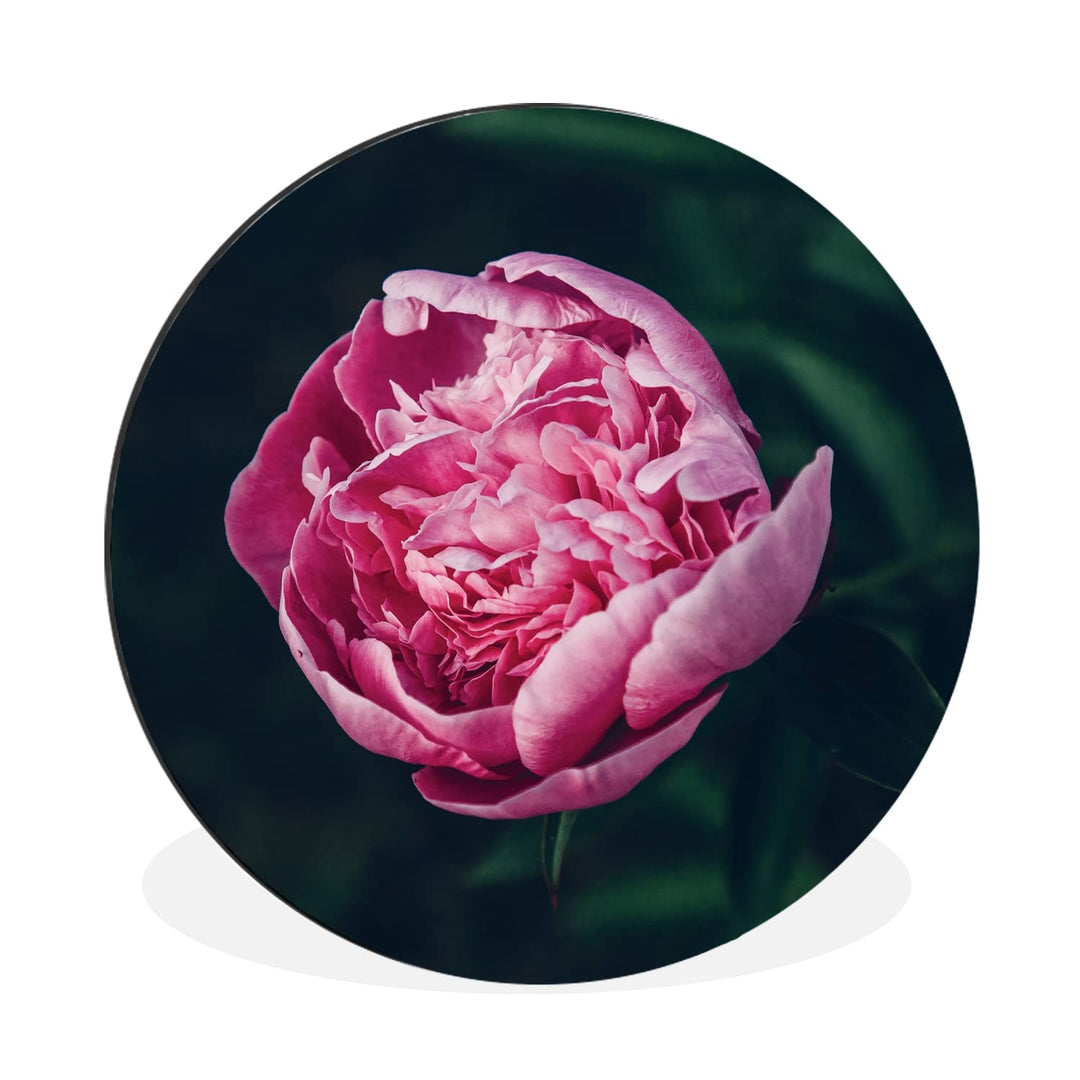 MuchoWow Wandbild Rund Wanddeko Deko Wohnzimmer Bilder 30x30 cm Blumen - Rosa - Rosen, 30x30 cm
