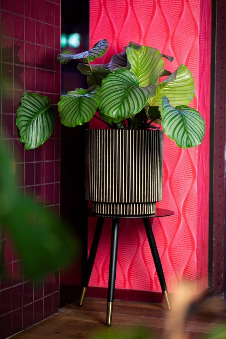 Capi Europe - Gefäss Zylinder Groove NL - 41x43 - Elfenbein - Öffnung Ø36 - Blumentopf für den Innen