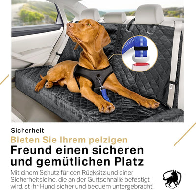 PetProved Hundedecke Auto Rückbank Autodecke Autoschondecke Hund Rücksitz Autoschutzdecke Rückbanksc