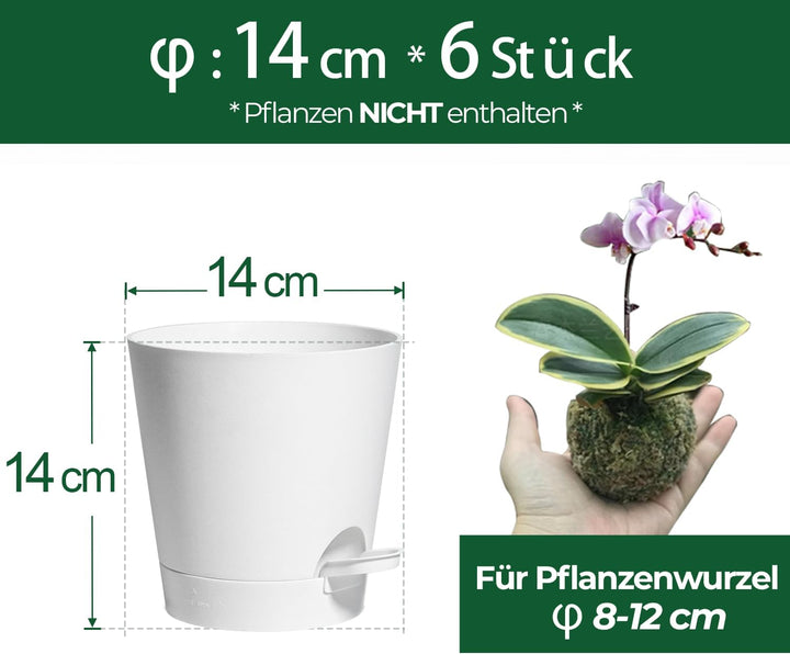 T4U 14cm Kunststoff Blumentopf mit Bewässerungssystem, 6er-Set Selbstbewässerung Übertopf mit Unters