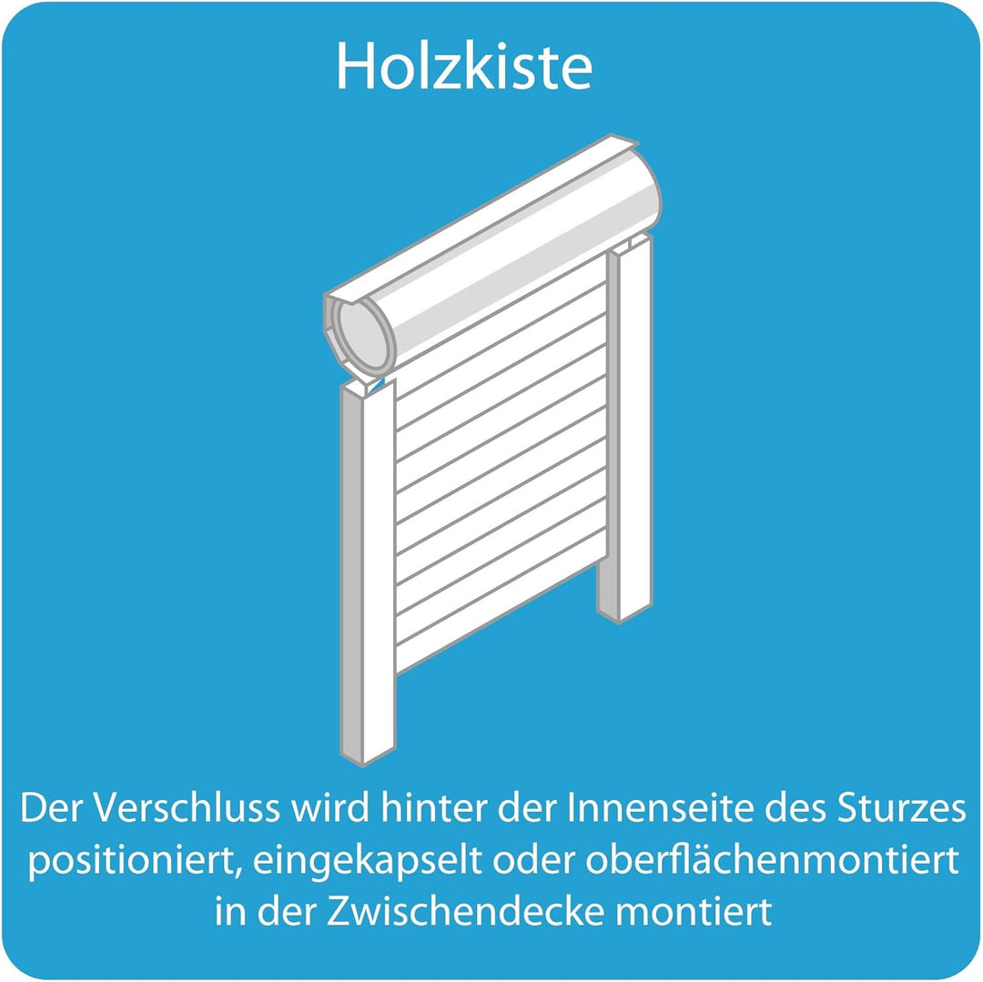 Somfy 2400670 - MS 100 | Verdrahteter Motorisierungssatz für traditionelle Rollläden | 10 Nm, MS 100