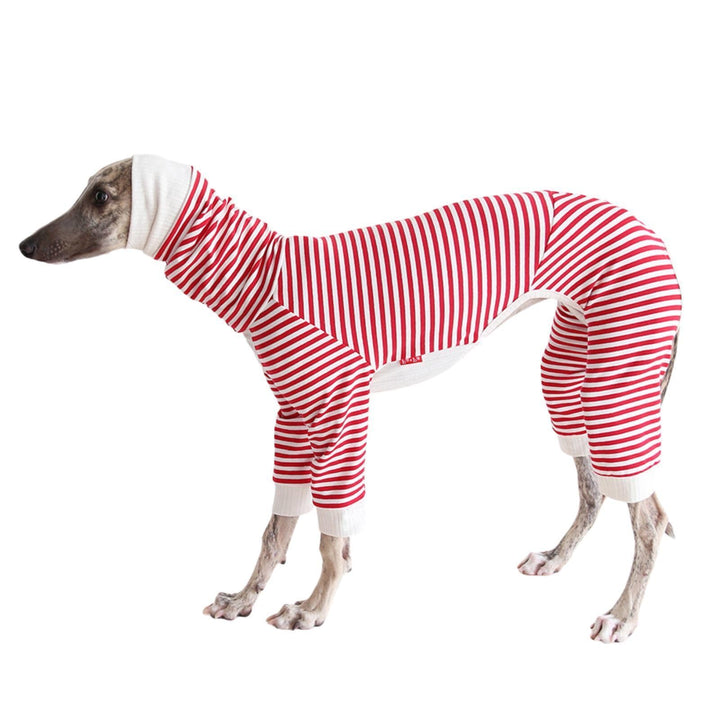 Leichter Baumwoll-Windhund-Pullover, Whippet-Kleidung mit Beinen, Rollkragen-Hunde-Jumpsuit, Hunde-P