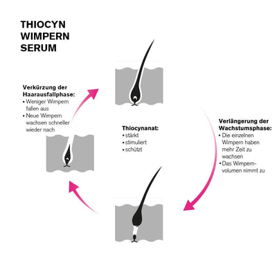 Thiocyn Wimpernserum & Augenbrauenserum ohne Hormone - Hormonfreies Lash Serum - Stimulation des Wim
