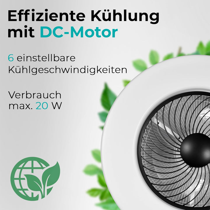 Noaton Deckenventilator mit Beleuchtung 12058B Triton, Schwarz, LED Dimmbar, 3 Farbtemperaturen, Fer