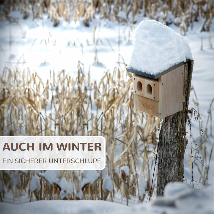 Steady Nature Nistkasten Rotkehlchen - Nistkästen für Vögel für draussen wetterfest - Halbhöhle Voge