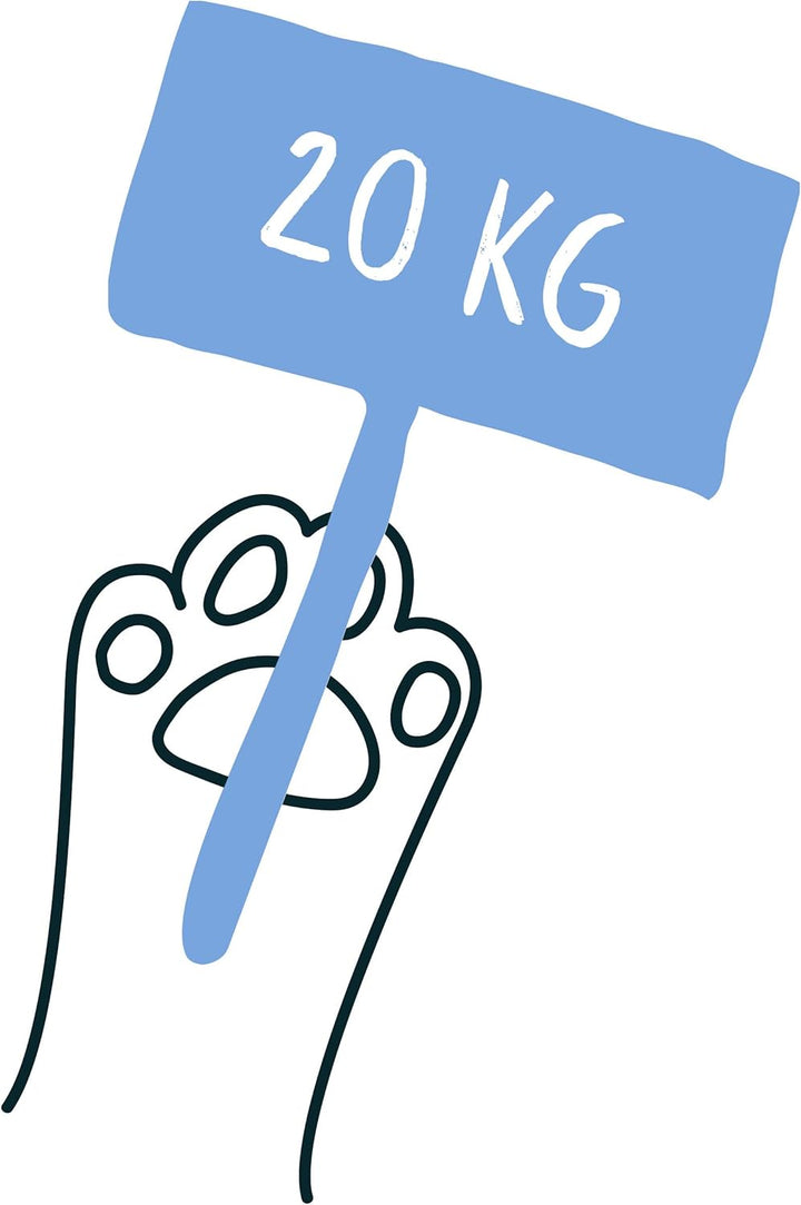 PRIMOX Klumpendes Katzenstreu 20 kg | Frischer Babypuderduft | 300% Saugfähigkeit | Schonend & Siche