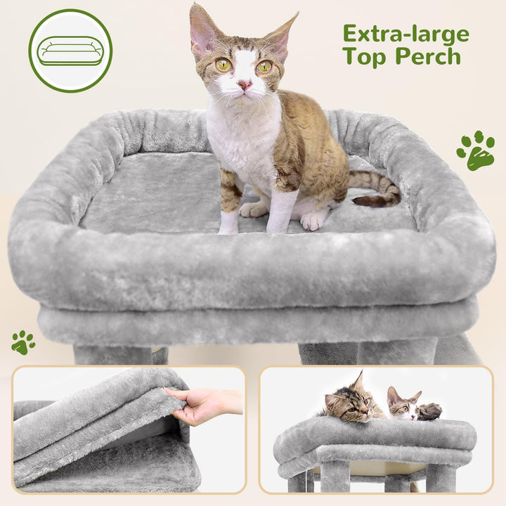 Globlazer Kratzbaum für 3-5 Grosse Katzen 156 cm mit 2 Extragross Katzenhaus 45 * 40 * 35CM, Grosse