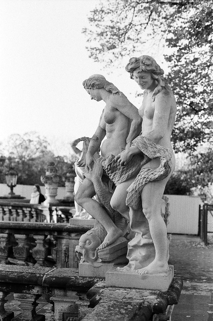 original WOLFEN (ORWO) NP100 schwarz/weiss Kleinbildfilm im Doppel Pack 2x36 Aufnahmen/Made in Germa