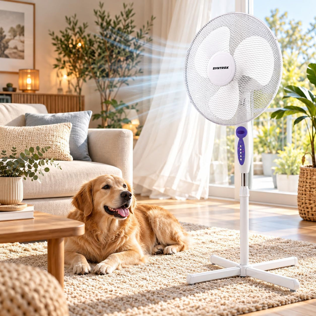 Syntrox Oszillierender Ventilator Splendrox | Standventilator | Bodenventilator, mit Timer und Fernb
