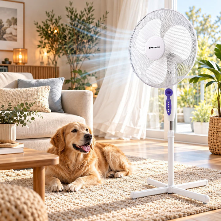 Syntrox Oszillierender Ventilator Splendrox | Standventilator | Bodenventilator, mit Timer und Fernb
