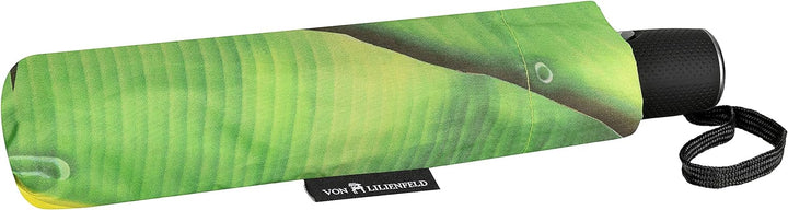 VON LILIENFELD Regenschirm Taschenschirm Bananenblatt Windfest Auf-Zu-Automatik Palme Stabil Kompakt