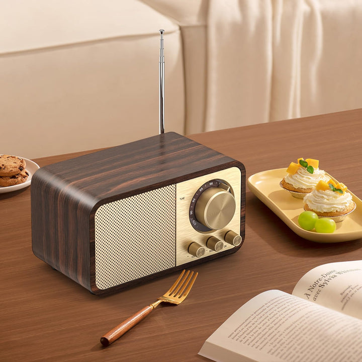 Nostalgie Radio, Retro Radio mit Bluetooth, TF Karten Slot, 2000mAH Wiederaufladbare Batterie, 5 Wat
