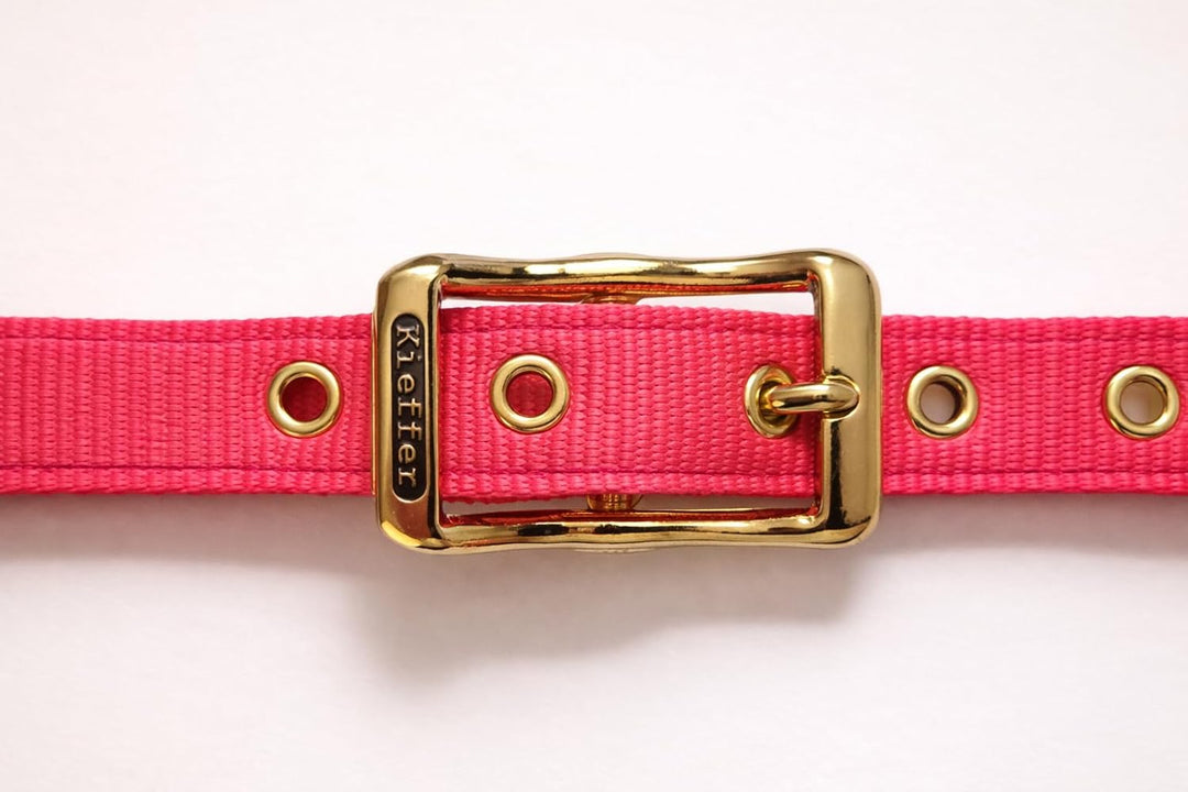 Reinecke Equestrian Premium Leuchthalfter Reflexhalfter Sicherheitshalfter Stallhalfter Weidehalfter