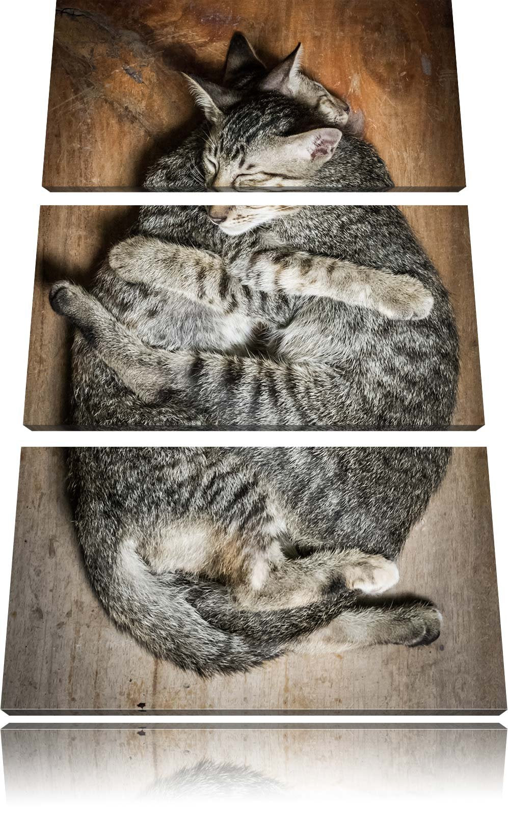 Pixxprint Kuschelnde Katzen 3-Teiler Leinwandbild 120x80 Bild auf Leinwand