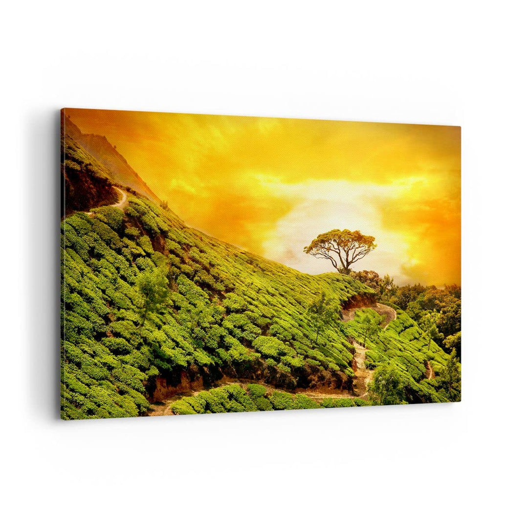 ARTTOR Bilder auf Leinwand 100x70cm Leinwandbild Berg Baum Pfad Hügel Gross Wanddeko Bild Schlafzimm