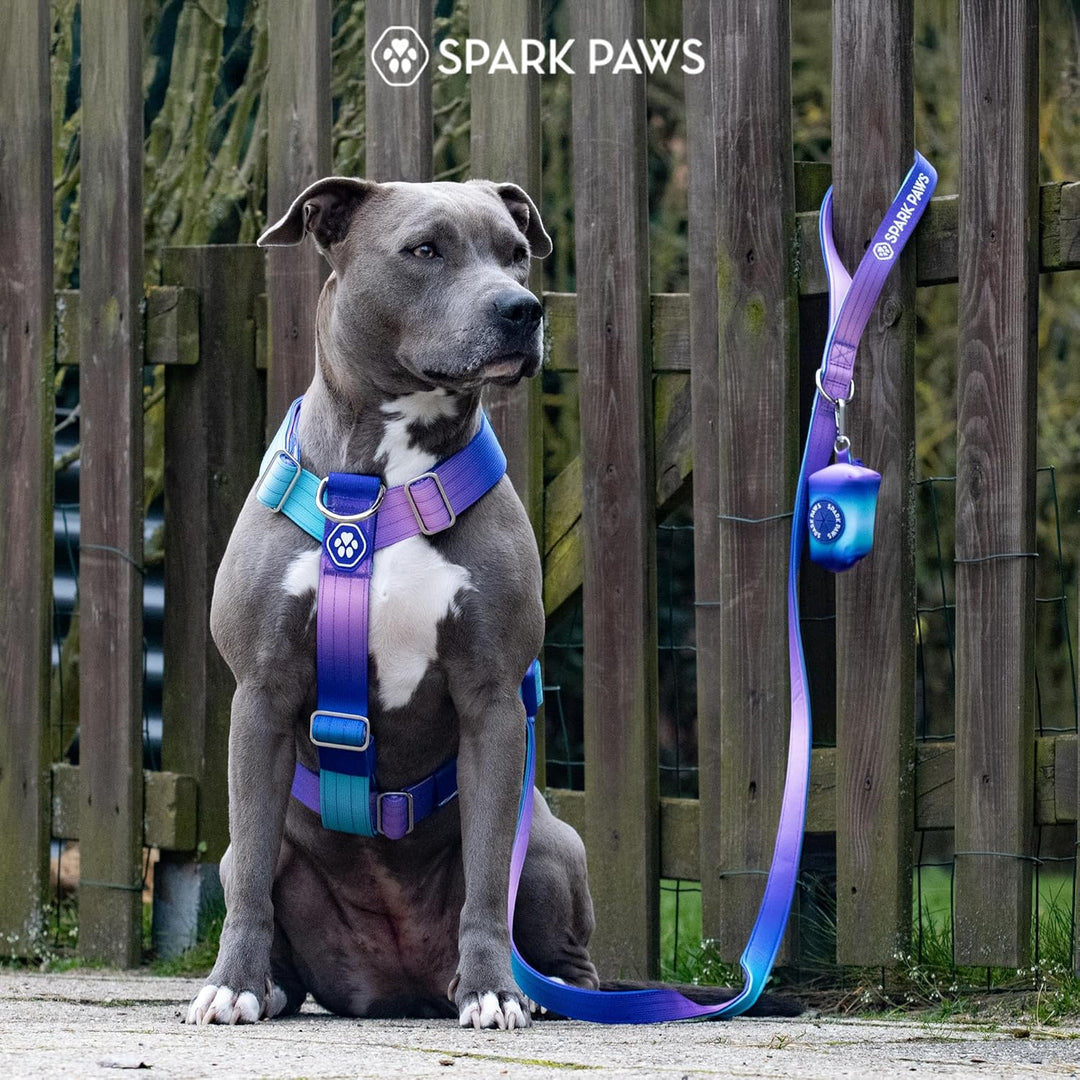 Spark Paws No Pull Hundegeschirr mit Griff für grosse Hunde, strapazierfähiges Hundegeschirr für gro