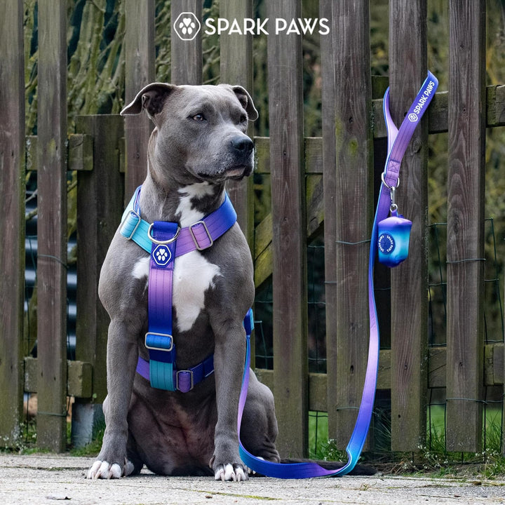 Spark Paws No Pull Hundegeschirr mit Griff für grosse Hunde, strapazierfähiges Hundegeschirr für gro