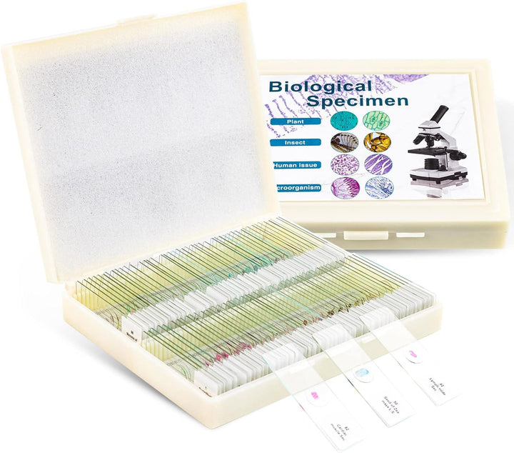 USCAMEL 100 Mikroskop Objektträger, 100 vorbereitete Mikroskop-Objektträger mit Exemplaren für Kinde
