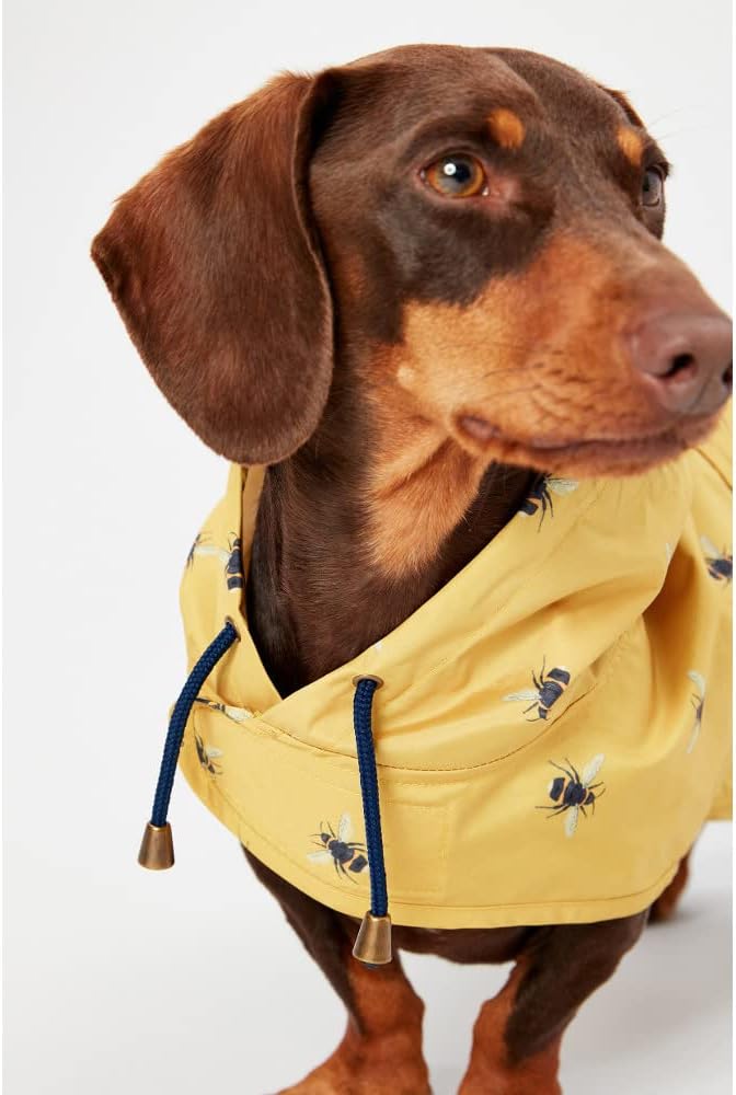 Rosewood Joules Go Lightly Packaway Jacke für Hunde, Grösse S Small, Small