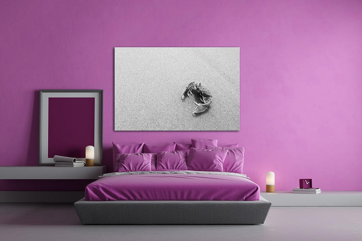 deyoli rote Krabbe im Sand Effekt: Schwarz/Weiss im Format: 80x60 als Leinwandbild, Motiv fertig ger