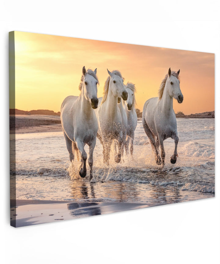 MuchoWow Leinwand Bilder, Einzigartige Wanddeko mit Rahmen, Pferde - Sonne - Meer - Strand - Tiere,