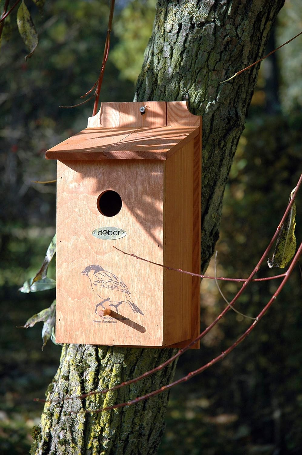 dobar® green label 22364FSCe Nistkasten "Haussperling" - Sperlingskasten Holz - Nisthilfe für Wildvö