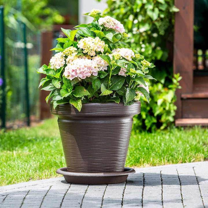 KADAX Blumentopf aus Kunststoff, 4 Farben, Pflanzkübel mit Untersetzer, Pflanztöpfe, Pflanzentopf mi