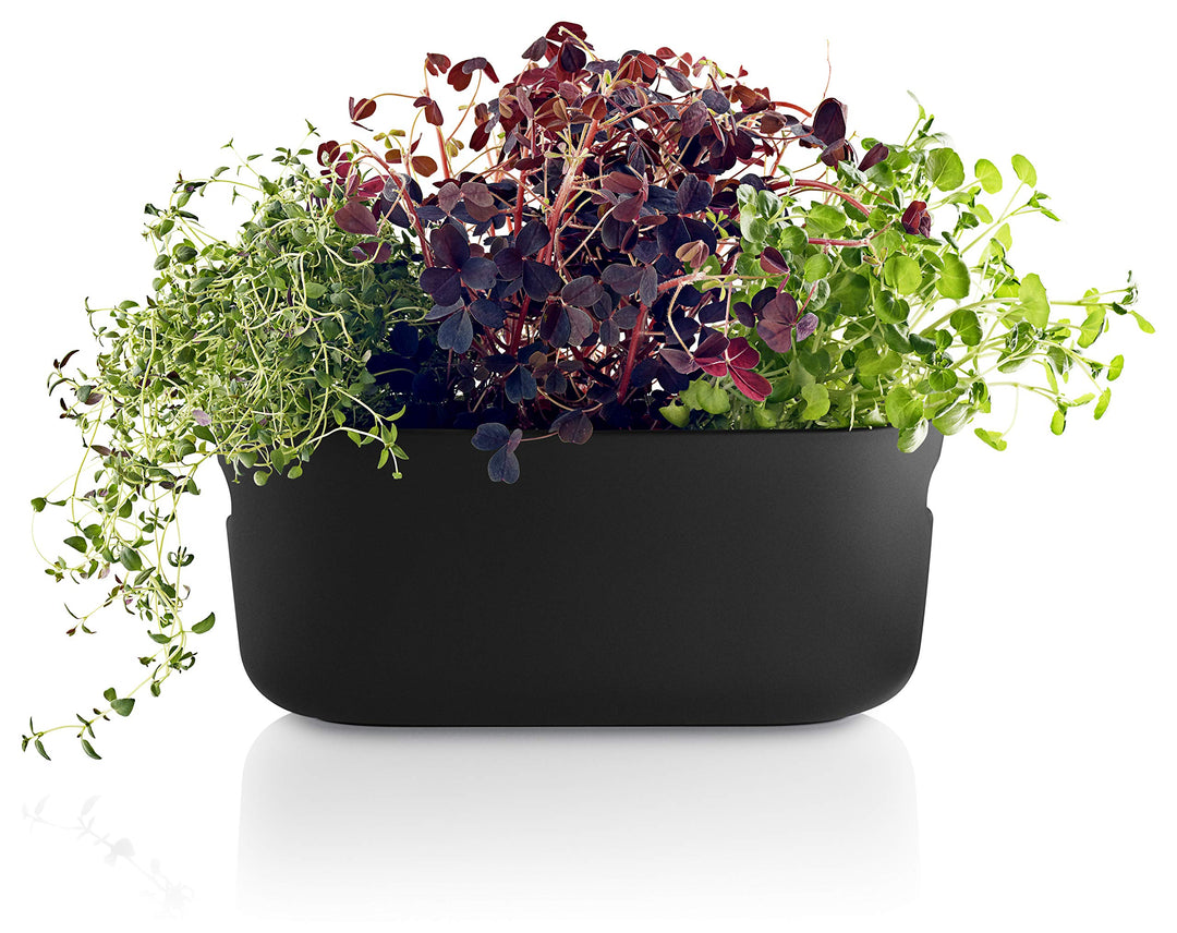 EVA SOLO | Selbstbewässernder Herb-Organiser Black | Verhilft Kräutern zu einem Langen Leben | Schwa
