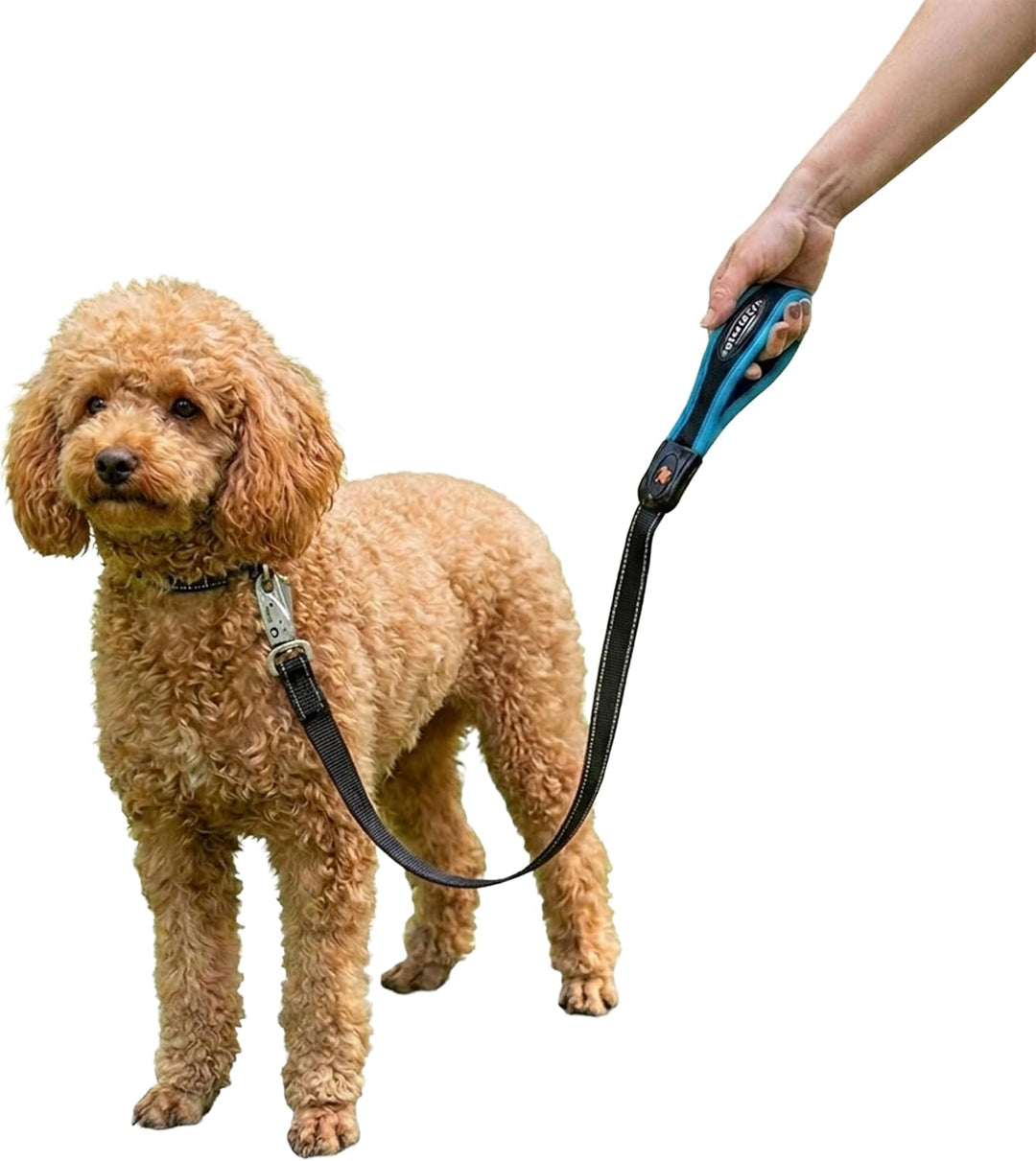 Ferplast Guinzaglio per cani ERGOFLUO MATIC, Guinzaglio per Cani Taglia Piccola, Moschettone con mec