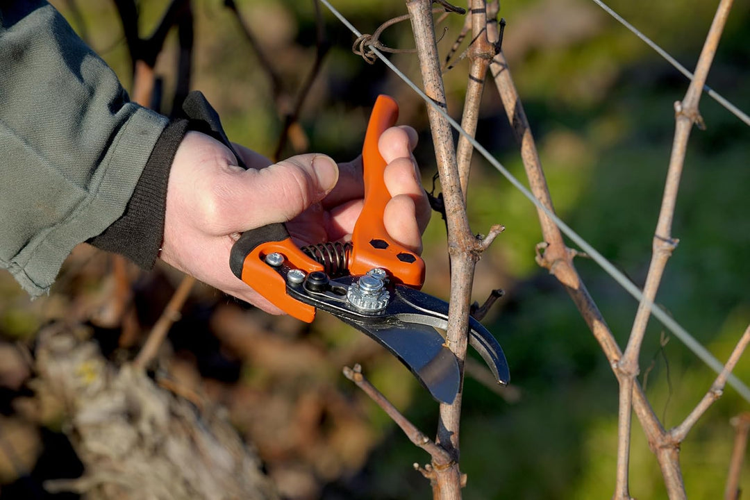 Bahco Ergo pruner On Card, PX-S2, Mehrfarbig, 28x28x18 cm 28x28x18 cm Kleiner fester Griff, 28x28x18
