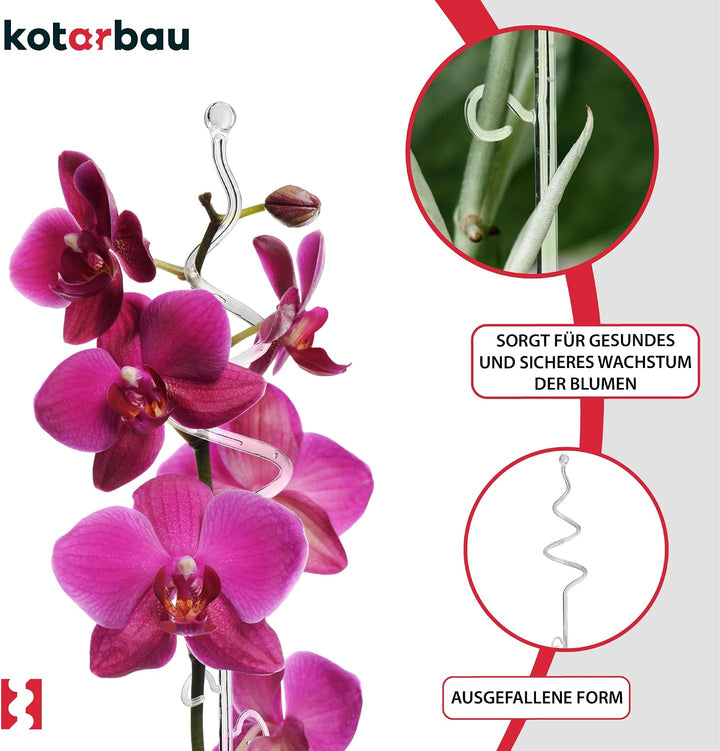 KOTARBAU® 6er Set Pflanzenstütze Transparent PVC 58 cm Spirale Blumenstütze Rankhilfe Zimmerpflanzen