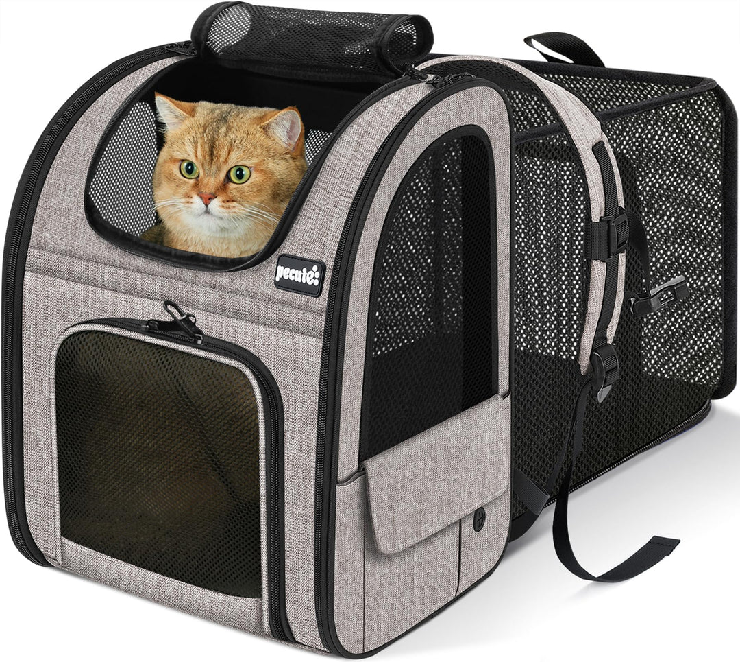 pecute Hunderucksack, Erweiterbar Faltbar, Katzenrucksack Grosse Katzen mit Anti-offener Reissversch
