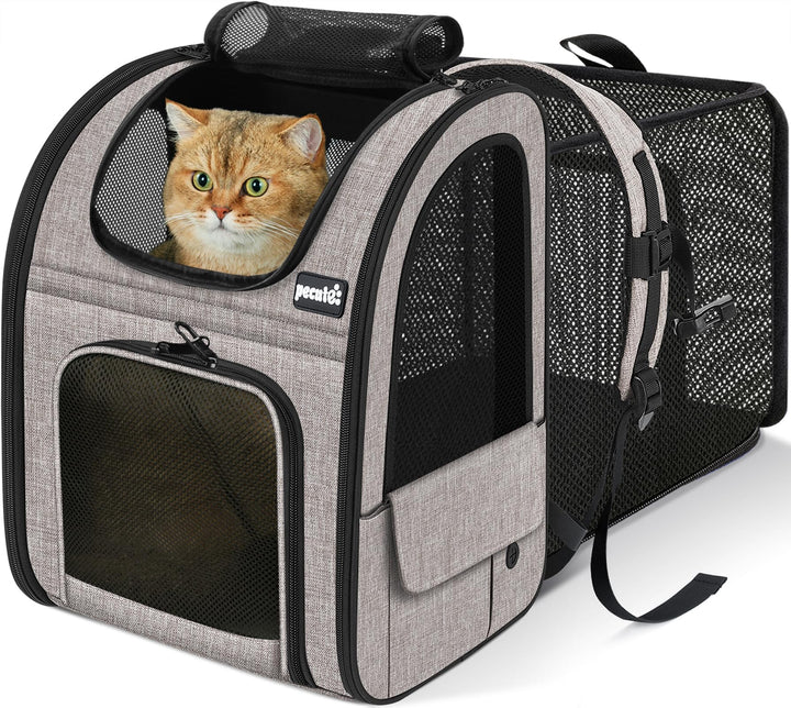 pecute Hunderucksack, Erweiterbar Faltbar, Katzenrucksack Grosse Katzen mit Anti-offener Reissversch