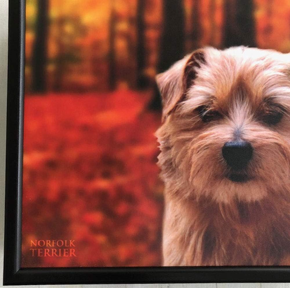 Knietablett - Lap Tray - Norfolk Terrier - Hund