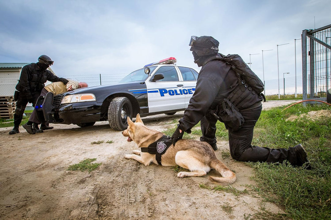 Julius-K9, 16STEALTH-P-3, IDC Stealth Powergeschirr, Grösse: 2XL/3, schwarz schwarz 2XL / 3, schwarz