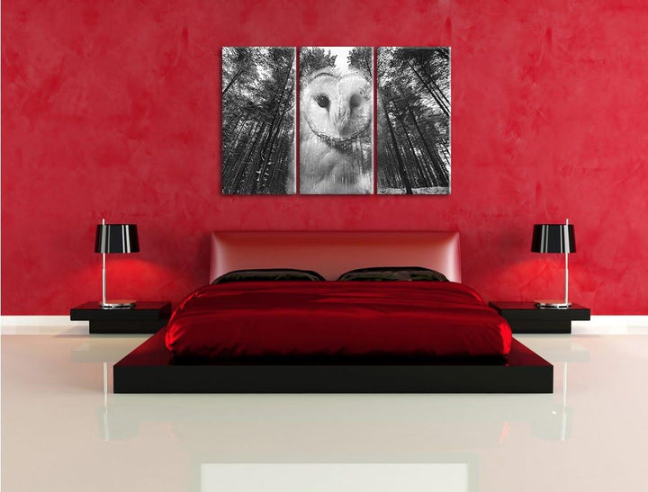 Pixxprint Portrait Einer Eule als Leinwandbild 3 teilig/Grösse: 3 Teilig (120x80) / Wandbild/Kunstdr