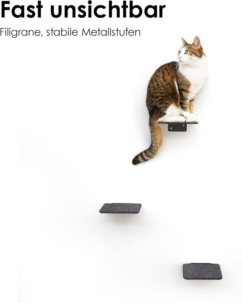 LucyBalu® STEPS XL Katzentreppe Wand Innen Aussen 3er Set | Katzen Kletterwand | Wandpark für Katzen