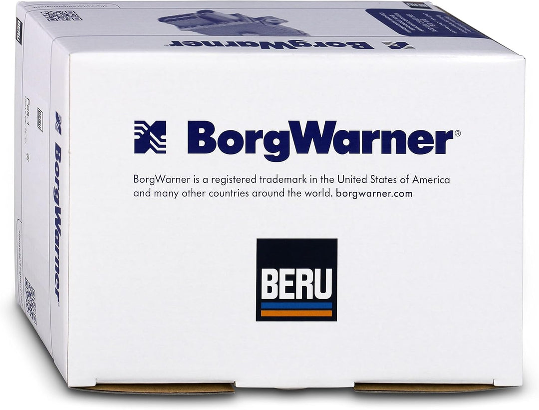 Beru AG GSE105 Steuergerät Glühzeit für BMW E81-88 E90-93 E60 E61 X1 E84 X3 E83