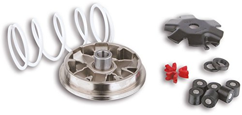 MALOSSI Variator Multivar für Minarelli liegend, Gegendruckfeder: weiss, Gewichte: 16x13mm - 7,00gr